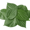 Betel Leaves / Beetle Leaves 50g (App 10pcs)
