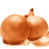 Indian Onion / Bombay Onion