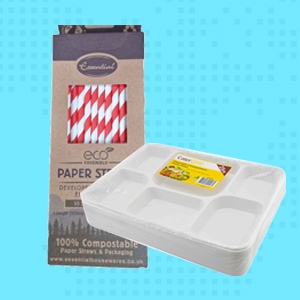 Disposable Tableware